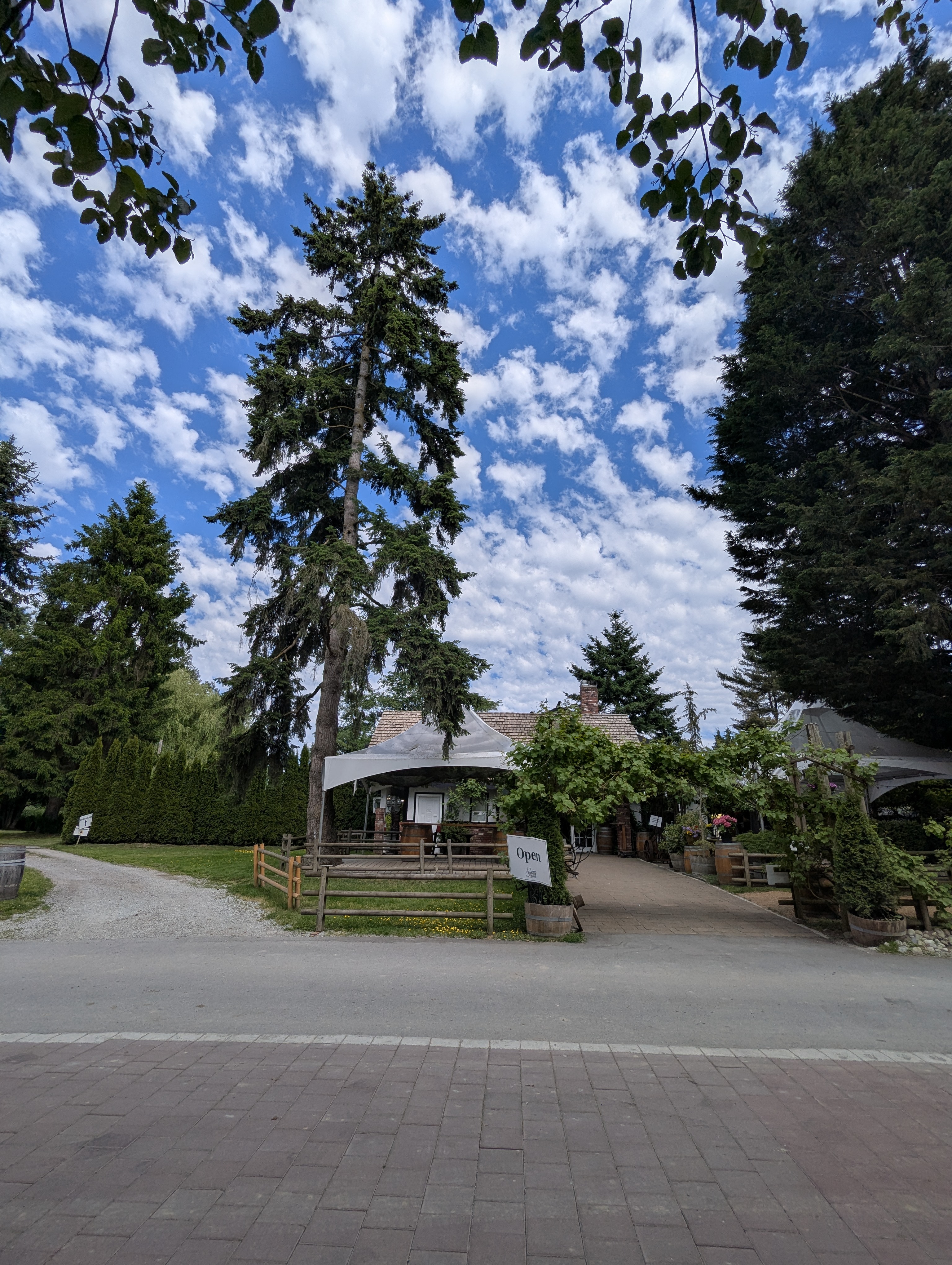 Birthday Trip to Canada, Country Vines Winery, Richmond, British Columbia